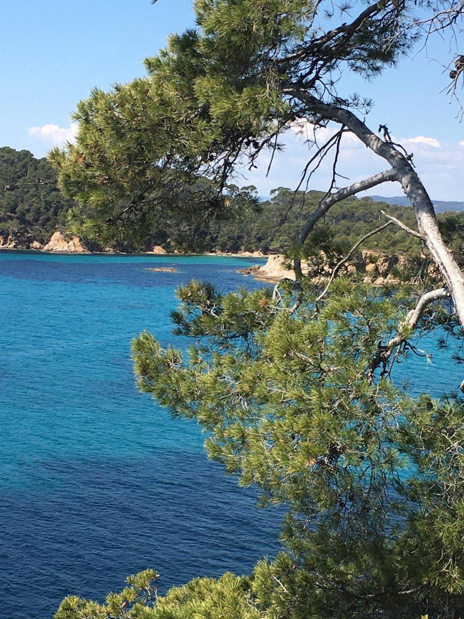 Appartement T3 Lumineux Traversant Totalement Neuf En Face De La Plage Front De Mer Vue Sur Les Iles Vue Mer Panoramique Assuree Residence De La Plage Centre Ville Du Lavandou 3Eme Etage Avec Ascenseur Appartement T3 Le Lavandou Dış mekan fotoğraf